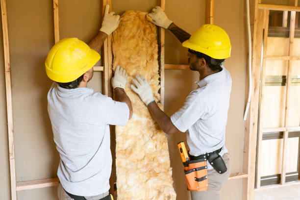 Best Batt and Roll Insulation  in Lakeland, FL